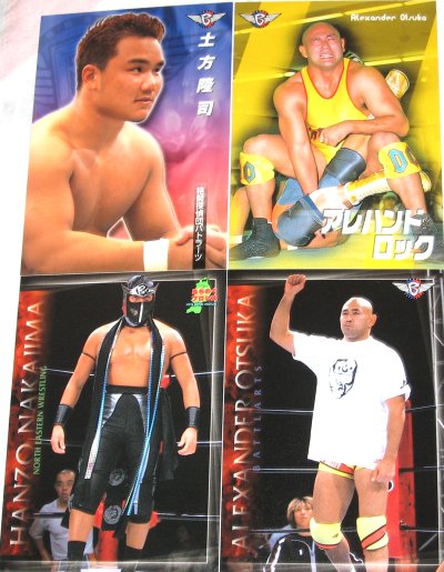 MICHINOKU & BATTLARTS OFFICIAL CARD COLLECTION 2001