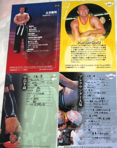 MICHINOKU & BATTLARTS OFFICIAL CARD COLLECTION 2001